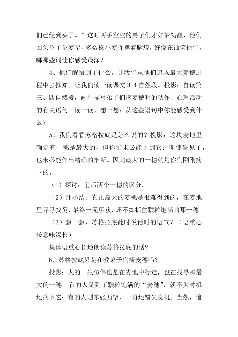 最大的麦穗教学设计汇总.docx_第2页