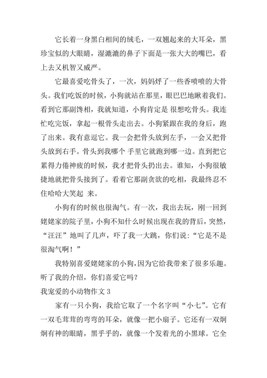 我喜爱的小动物作文精选.docx_第2页