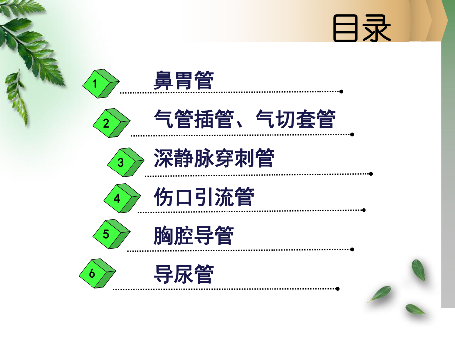 ICU各类导管的护理.ppt_第2页