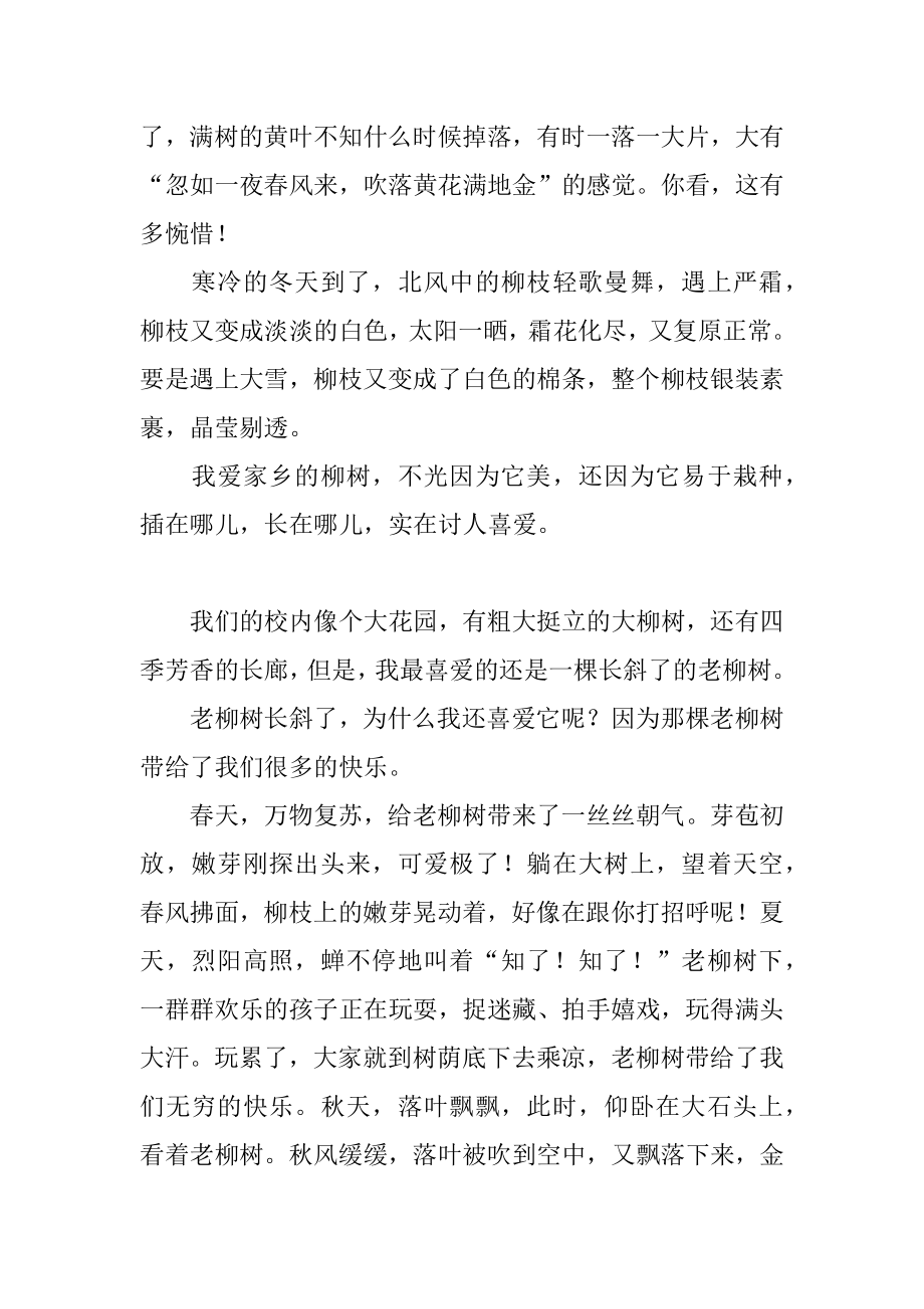 柳树的作文：我爱柳树精选.docx_第2页