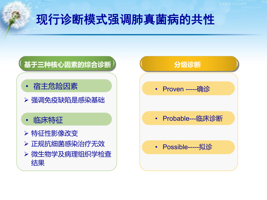 最新医学ppt--三种常见呼吸系统真菌感染之鉴别诊断PPT课件.ppt_第2页