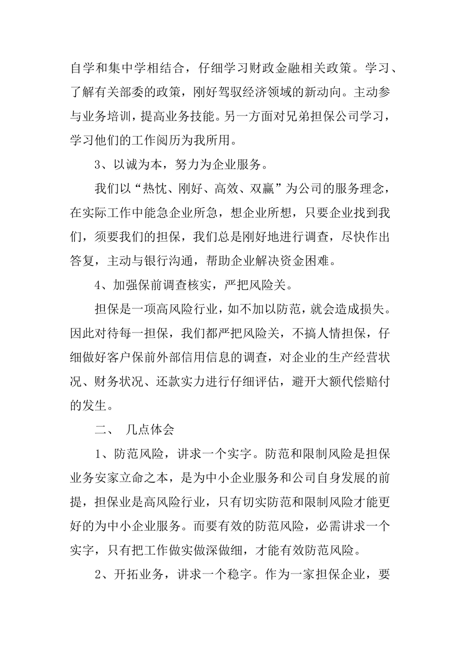 担保公司年终总结精编.docx_第2页