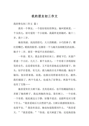 我的朋友初三作文例文.docx