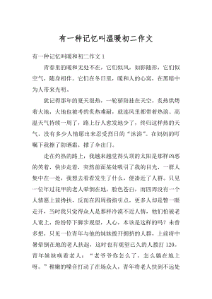 有一种记忆叫温暖初二作文精编.docx