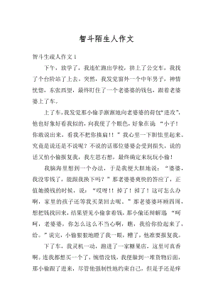 智斗陌生人作文精选.docx