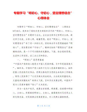 专题学习“明初心、守初心坚定理想信念”心得体会.doc