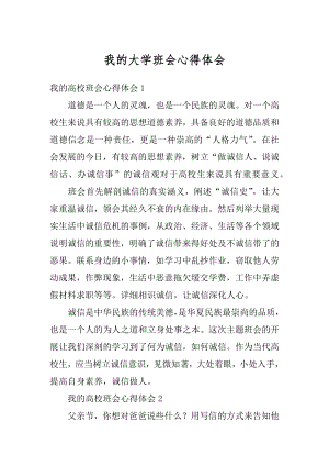 我的大学班会心得体会汇总.docx