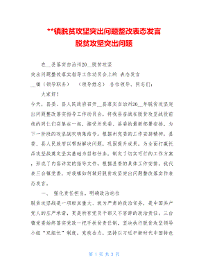 --镇脱贫攻坚突出问题整改表态发言 脱贫攻坚突出问题.doc