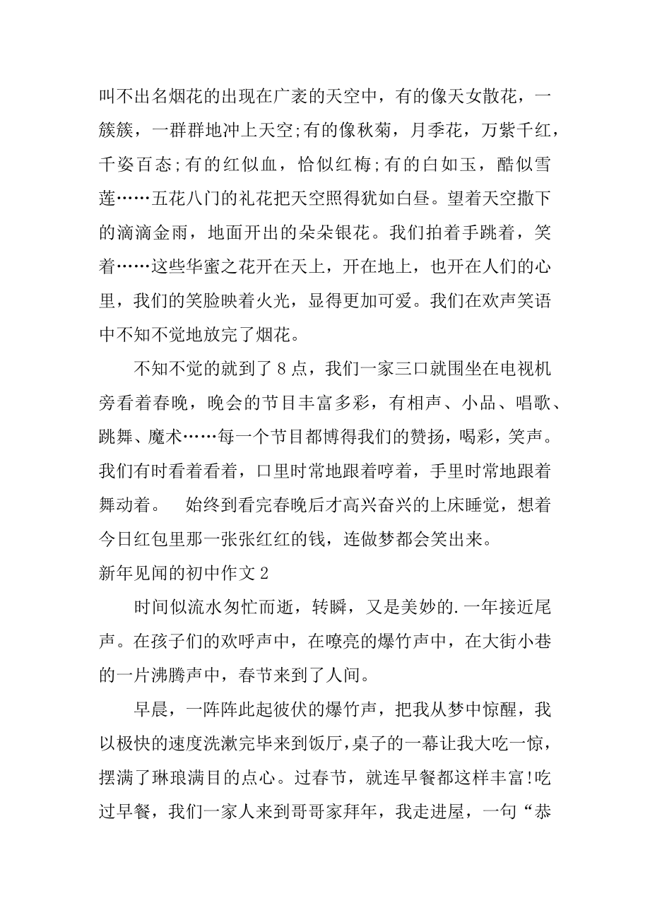 新年见闻的初中作文范例.docx_第2页