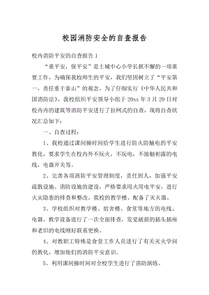 校园消防安全的自查报告例文.docx