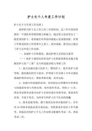 护士长个人年度工作计划精编.docx