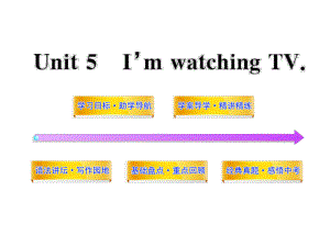 2012版初中英语新课标金榜学案配套课件：-Unit-5(人教版-七年级下)ppt.ppt