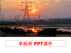 最新单病种 PPT课件精品课件.ppt