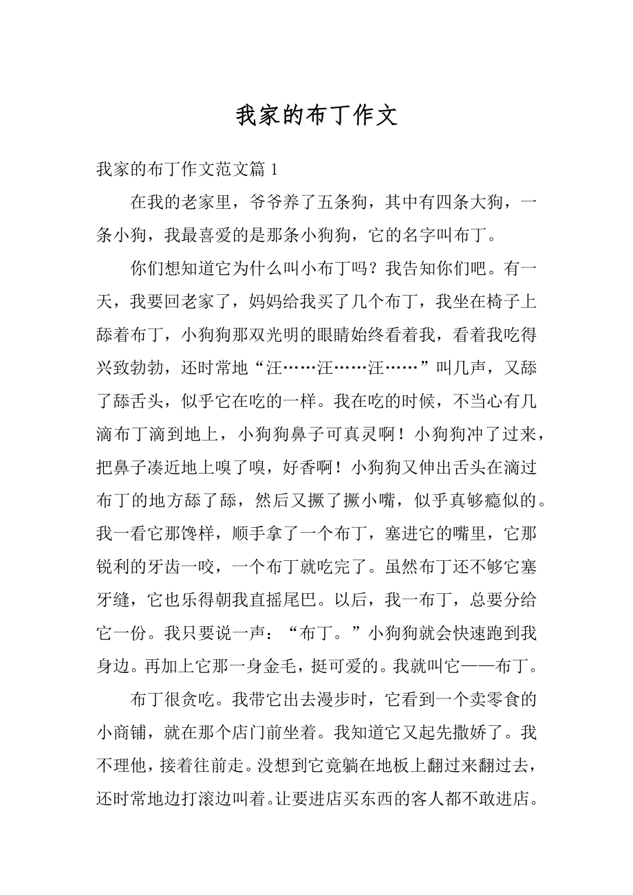 我家的布丁作文精选.docx_第1页