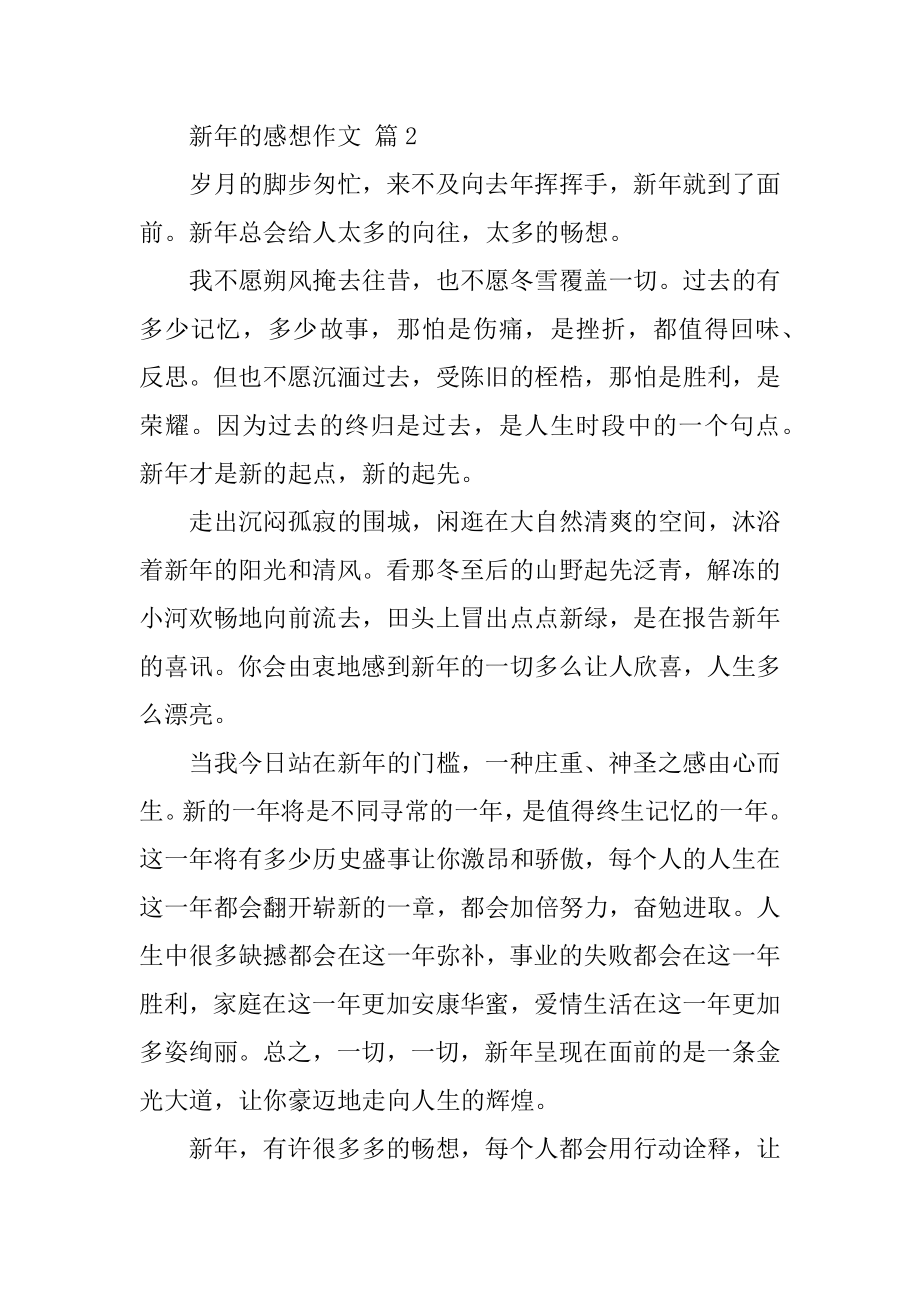 新年的感想作文汇总.docx_第2页