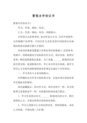 影视合作协议书最新.docx