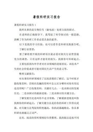 暑假科研实习报告精编.docx