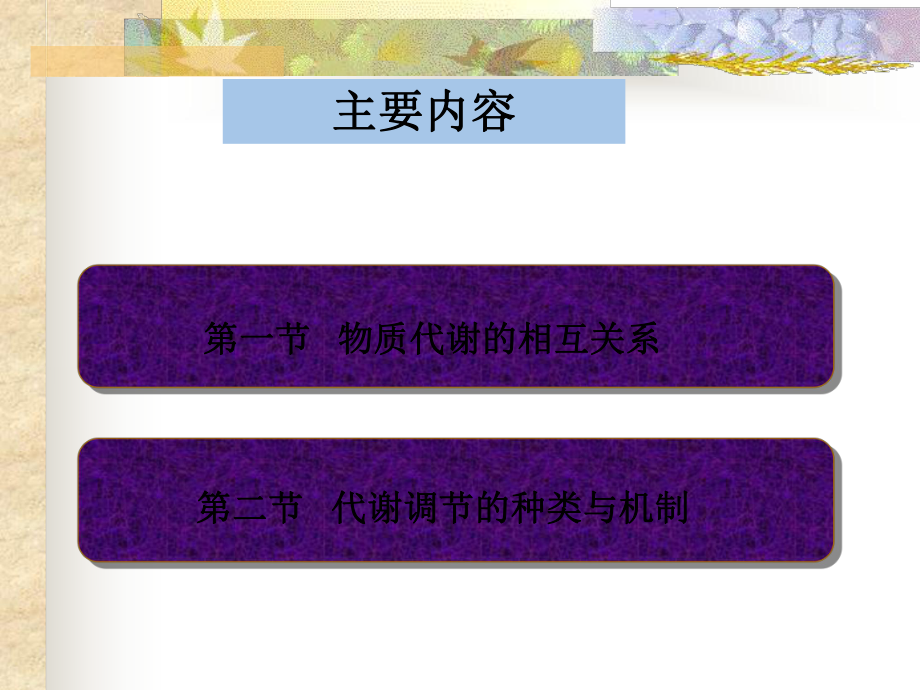 最新十三章代谢调节幻灯片.ppt_第2页