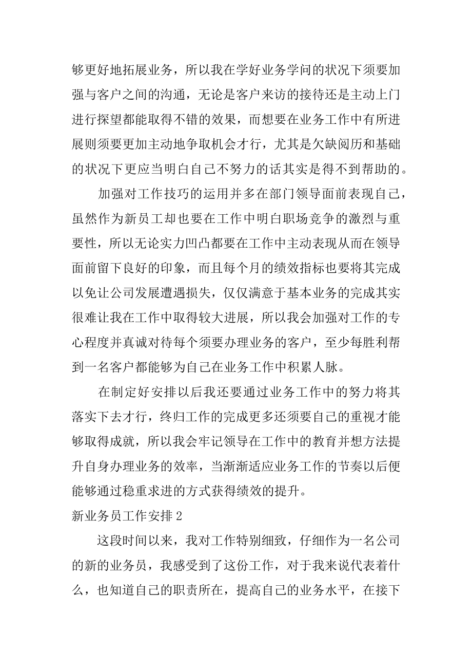 新业务员工作计划汇编.docx_第2页