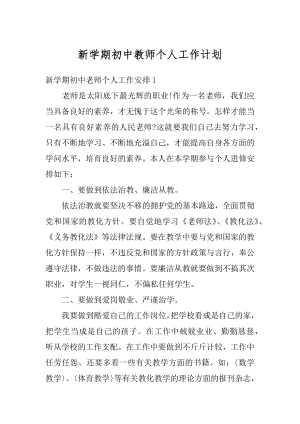 新学期初中教师个人工作计划精选.docx