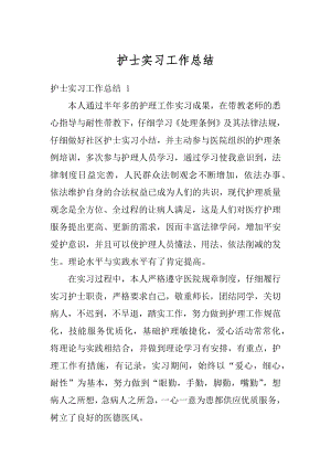 护士实习工作总结例文.docx