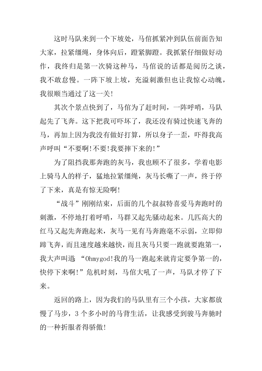 我在草原上骑马作文例文.docx_第2页