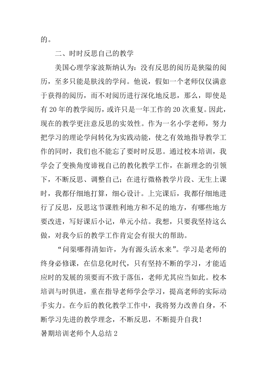 暑期培训教师个人总结精编.docx_第2页