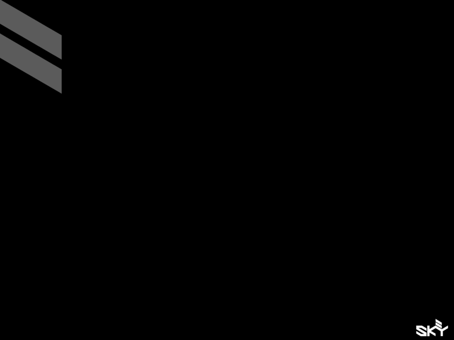 最新sky营销策划机构-社会化网络营销案例（ppt 30页(共31张ppt课件).pptx_第2页