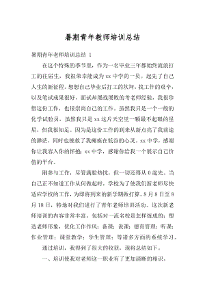 暑期青年教师培训总结汇编.docx