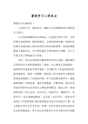 暑假学习心得体会精编.docx