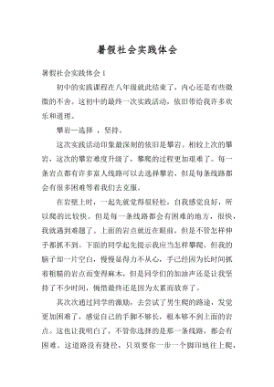 暑假社会实践体会精选.docx