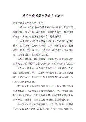 感悟生命感恩生活作文800字优质.docx