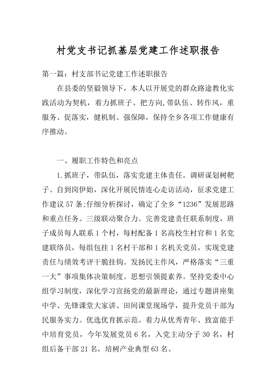 村党支书记抓基层党建工作述职报告汇编.docx_第1页