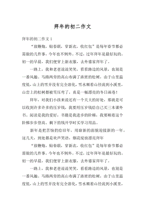 拜年的初二作文汇编.docx