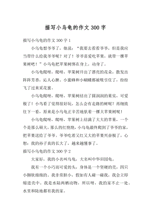 描写小乌龟的作文300字优质.docx