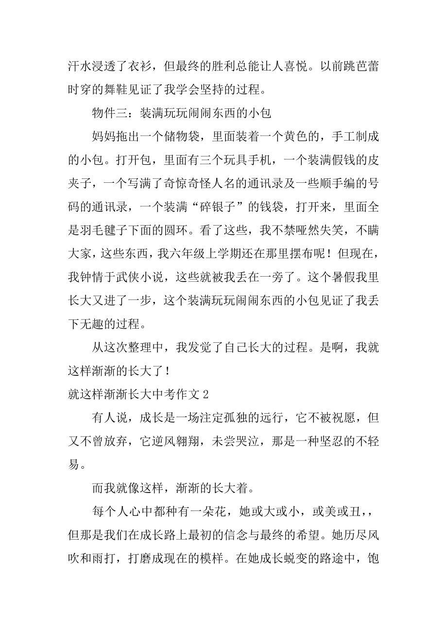 就这样慢慢长大中考作文例文.docx_第2页