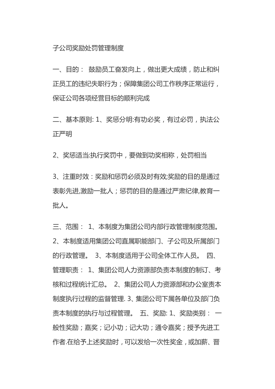 子公司奖励处罚管理制度.docx_第1页