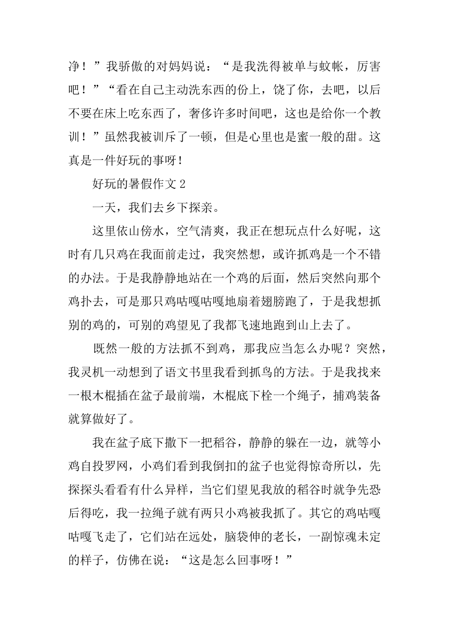 有趣的暑假作文汇总.docx_第2页