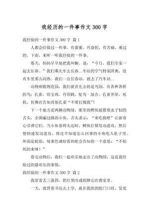 我经历的一件事作文300字精品.docx