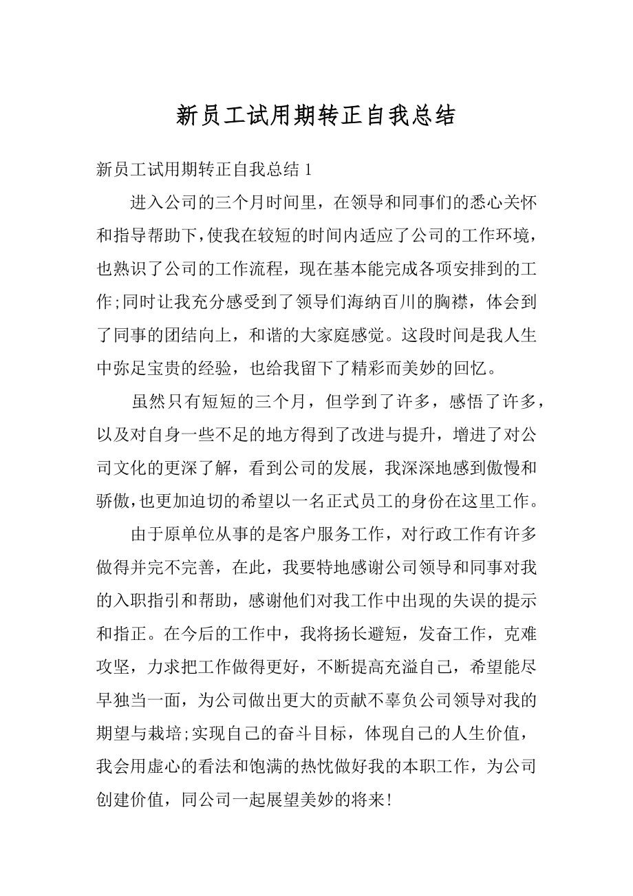 新员工试用期转正自我总结汇总.docx_第1页