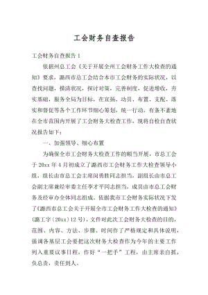 工会财务自查报告精编.docx