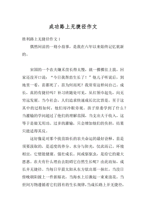 成功路上无捷径作文范文.docx