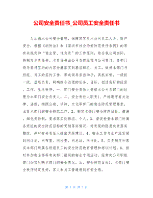 公司安全责任书_公司员工安全责任书.doc