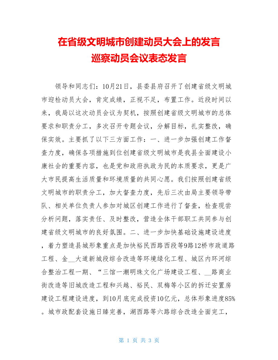 在省级文明城市创建动员大会上的发言 巡察动员会议表态发言.doc_第1页