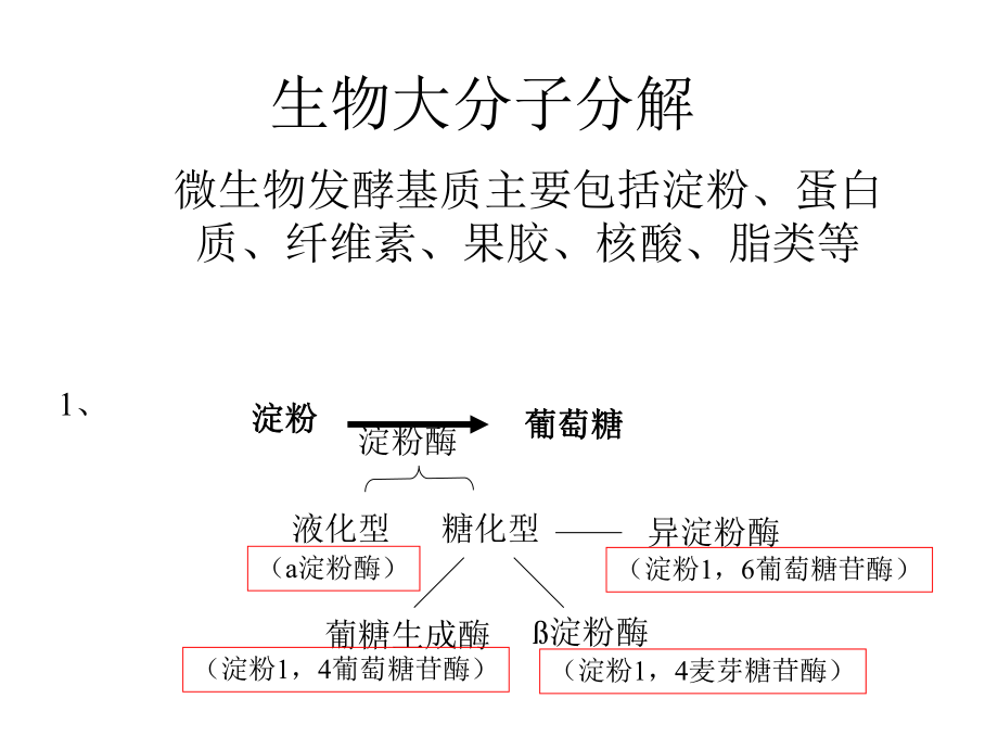 最新发酵生理第二部分---微生物的代谢PPT课件.ppt_第2页