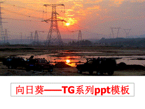 最新向日葵——TG系列ppt模板PPT课件.ppt