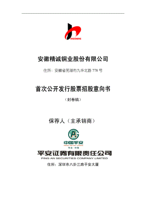 精诚铜业：首次公开发行股票招股意向书.PDF