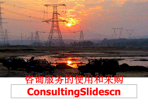 最新咨询服务的使用和采购ConsultingSlidescnPPT课件.ppt