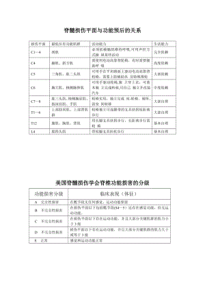 截瘫评定量表.doc