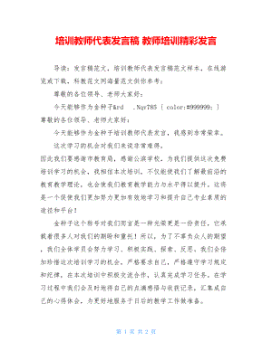 培训教师代表发言稿 教师培训精彩发言.doc